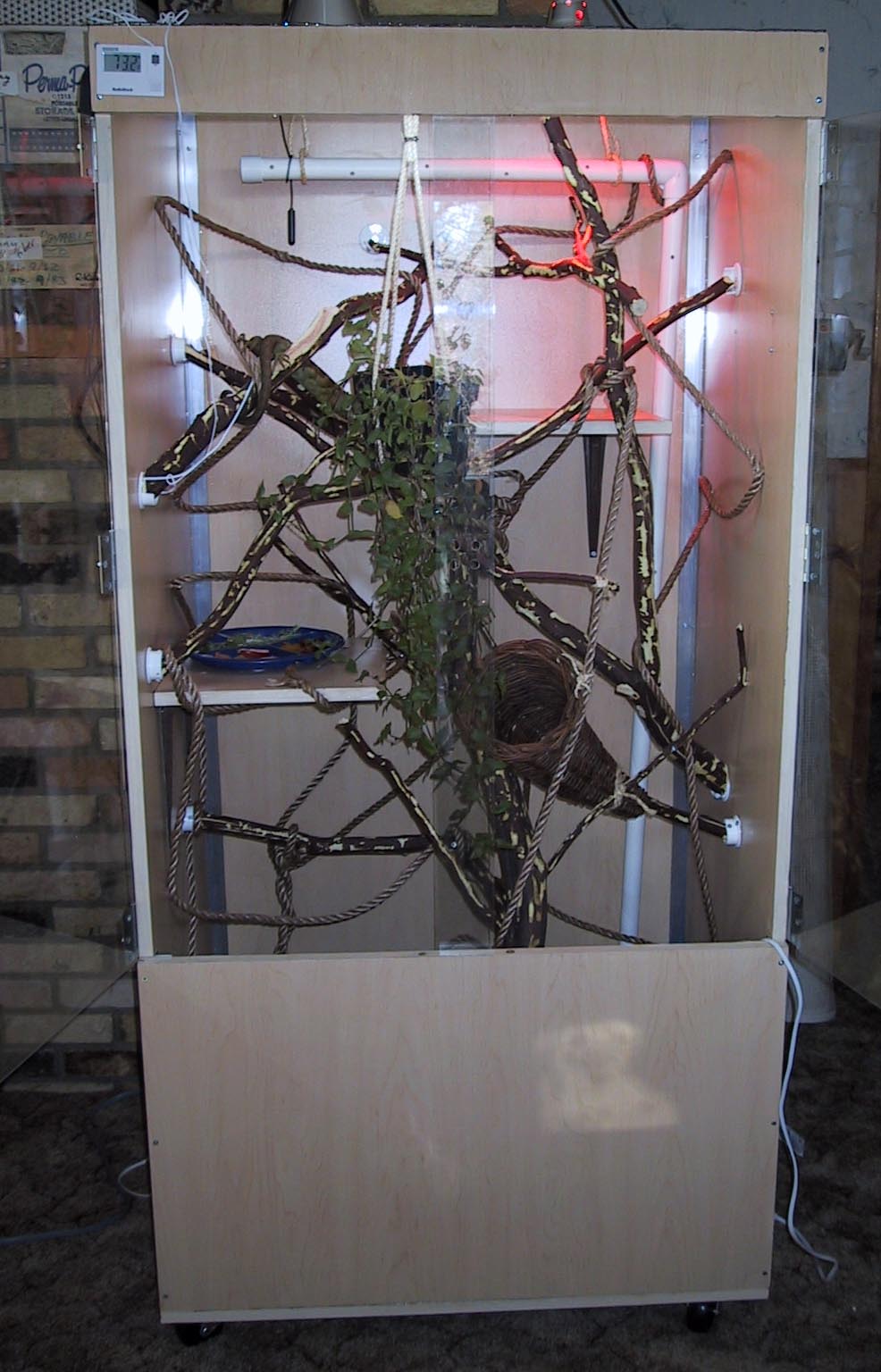 full cage pic