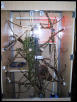 cage with shut doors