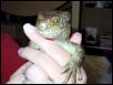 Ahaaa!  Look at them eyes!