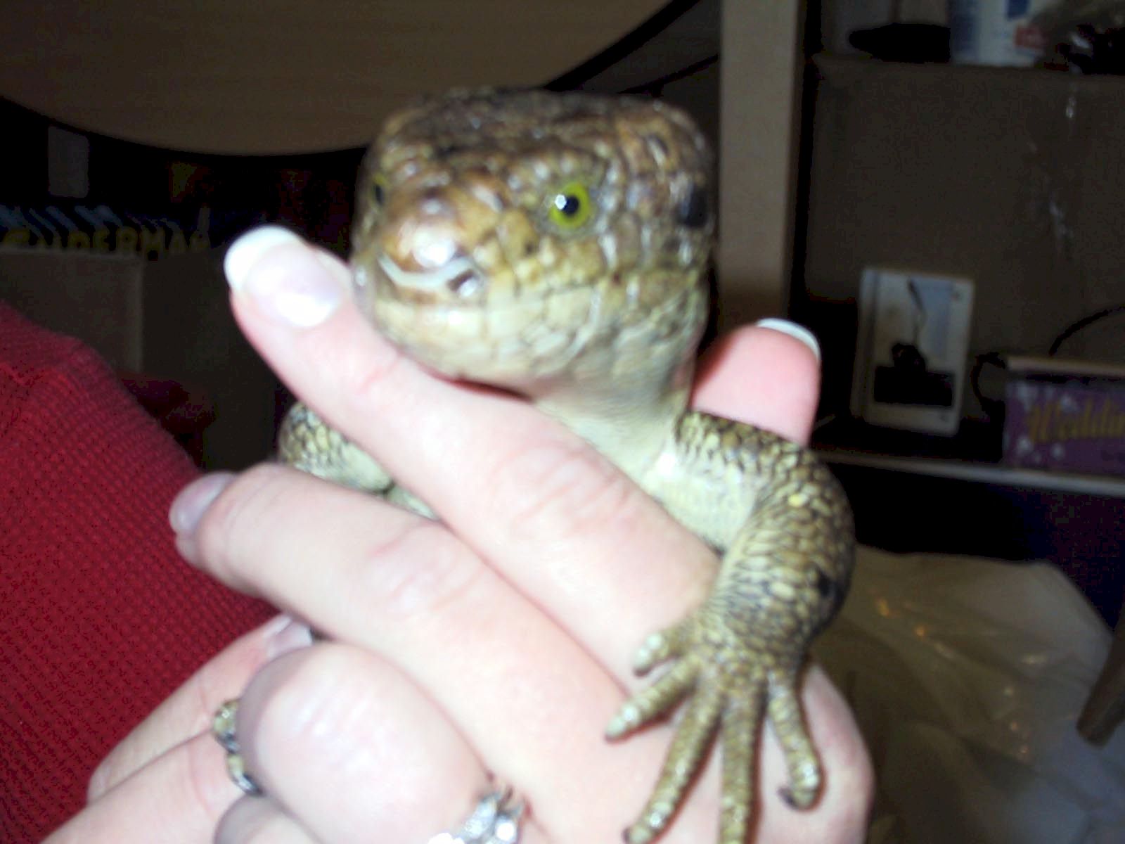 Ahaaa!  Look at them eyes!