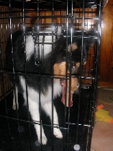 I in jail acause of Mojo!