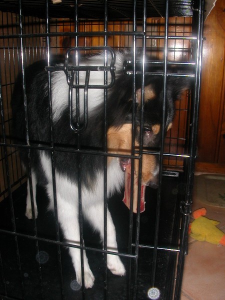 I in jail acause of Mojo!