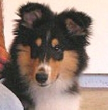 It Me, Tosca