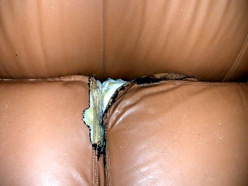 I ated a couch.