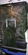Joyce's cage