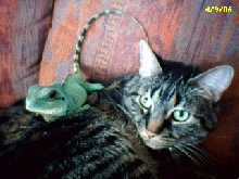 Buddies