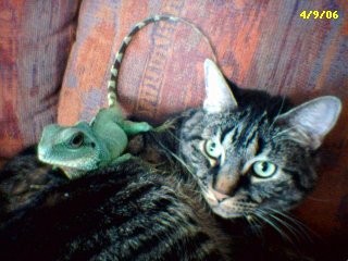 Buddies