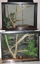 Reptiscapes- for the 'Upscale' Herp!