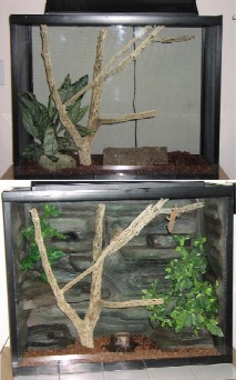 Reptiscapes- for the 'Upscale' Herp!