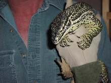 Argus Monitor