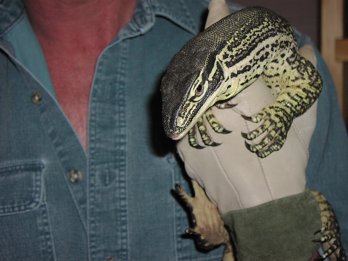 Argus Monitor