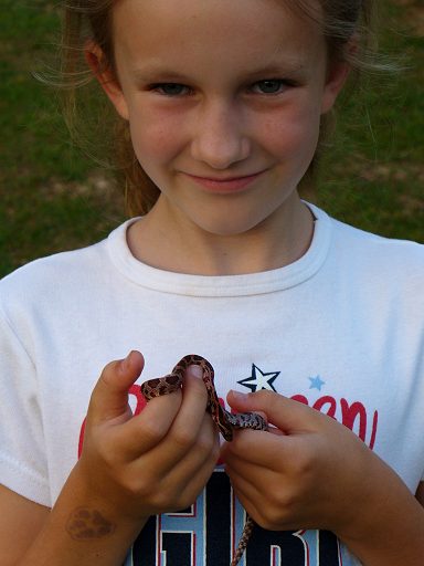 Alyssa & Cary, the corn snake