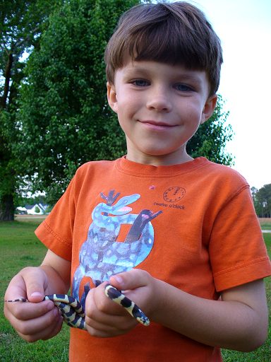 5yo Noah & Sparkle, his Cali King snake