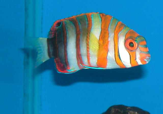Saltwater Photos