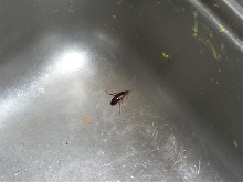 what is this????