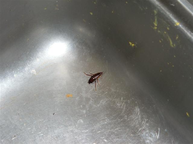 what is this????