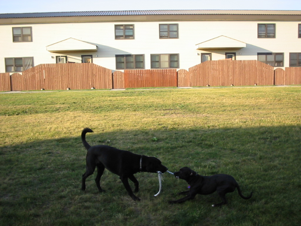 Tag-o-War
