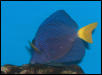 Saltwater Photos