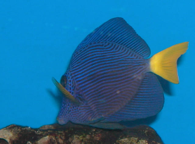 Saltwater Photos