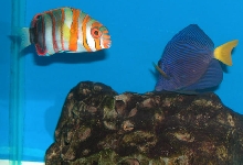 Saltwater Photos