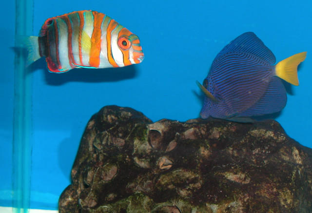 Saltwater Photos