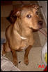 Our Little "Angel" Yea Right!!!