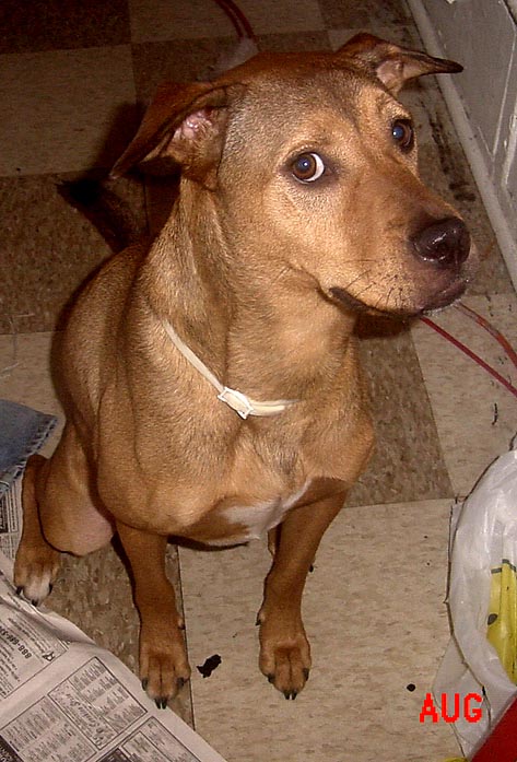 Our Little "Angel" Yea Right!!!
