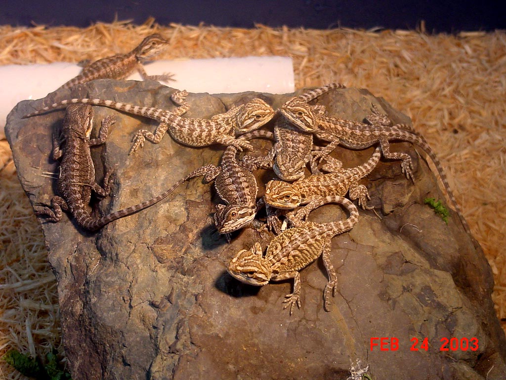 Evette's First Clutch
