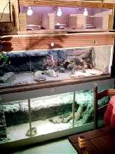 some of my enclosures