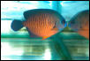 Saltwater Photos