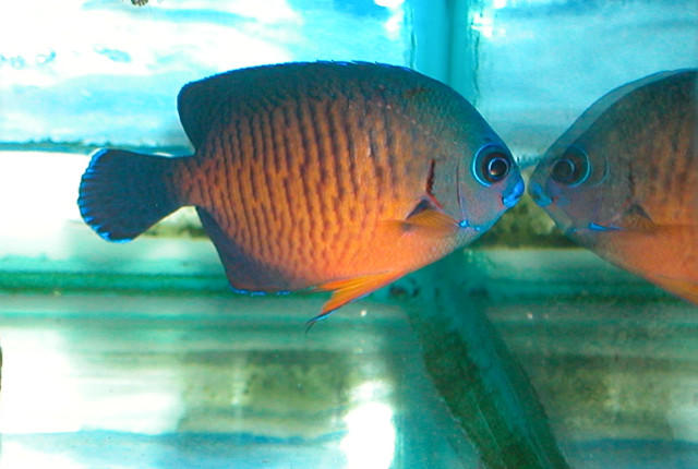 Saltwater Photos