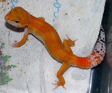 LOOOKING UP!