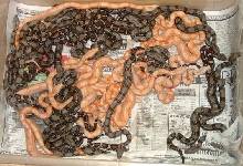 albino boas