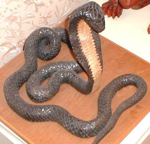 cobra