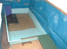 caiman room
