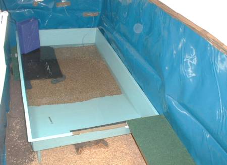 caiman room