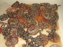 baby salmons