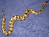E6