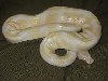 cas4140