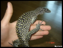 on my hand