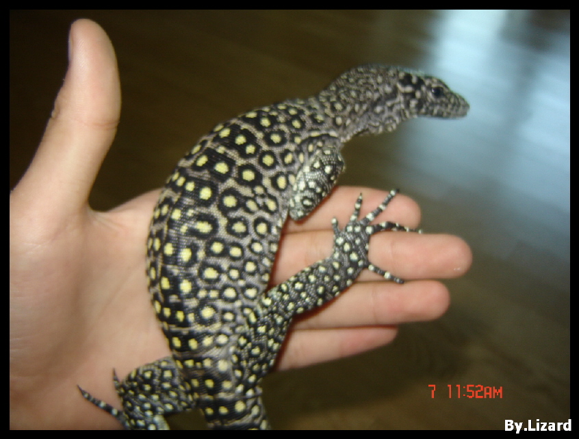 on my hand