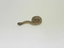 Superconda Het Hypo