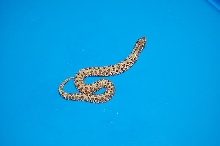 hypo stripe