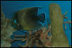 Saltwater Photos