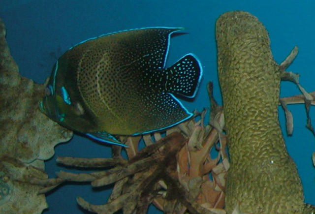 Saltwater Photos