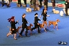 BIS breeder's class Northgate's