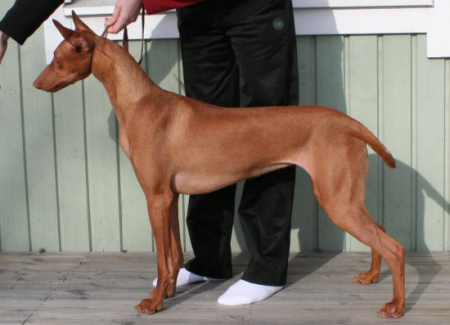 Tyyne April 2009