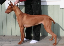 Tyyne April 2009 p2