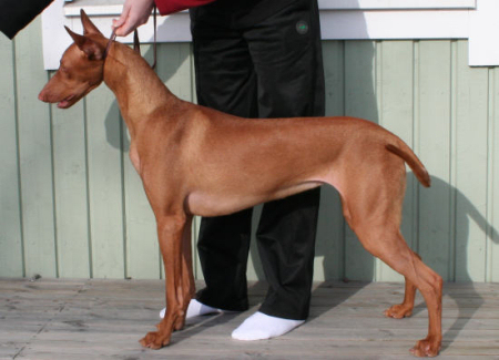 Tyyne April 2009 p2