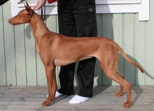 Tyyne April 2009 p3